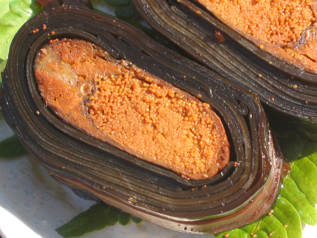 子持鮎の昆布巻を輪切りにすると、こんな感じ