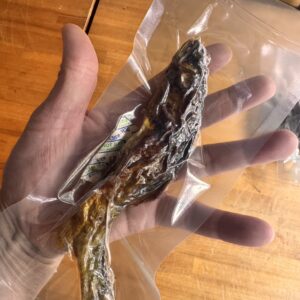 鮎の骨酒【手からはみ出るサイズ】